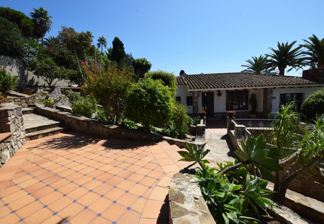 La Cascada - DSC_0192Copiar