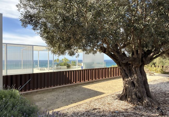 Adamar - IMG_3129Copiar