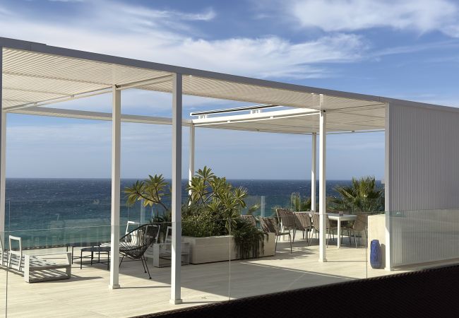 Adamar - IMG_3131Copiar