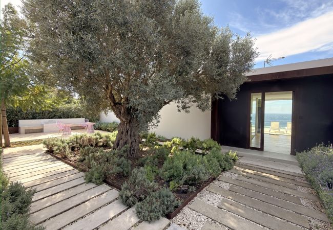 Adamar - Entrada principal y exteriores