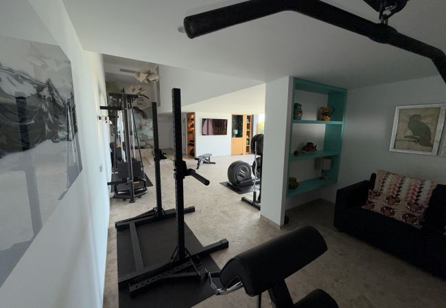 Adamar - GYM11Copiar